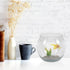 Small Glass Fish Bowl, Plastic Aquarium Goldfish Tank for Desktop Turtle Tank, Micro Landscape Decoration (16.5x16.5cm)