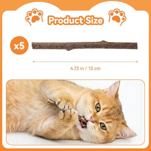 5 Pack Silvervine Sticks for Cats, Natural Cat Chew Toys for Teeth Cleaning, Kitten Teething Toys for Indoor Cats