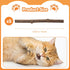5 Pack Silvervine Sticks for Cats, Natural Cat Chew Toys for Teeth Cleaning, Kitten Teething Toys for Indoor Cats