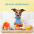 Dog Diggin Designs Runway Pup Collection | Unique Squeaky Plush Toys – Prêt-à-Porter Dog Bones, Balls & More