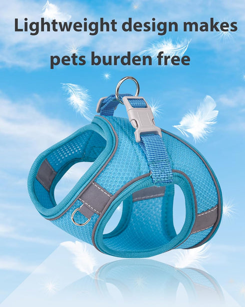 Dog Harness and Leash Set for Small Medium Sized Dogs, Training Vest Harness, Blue, XXS