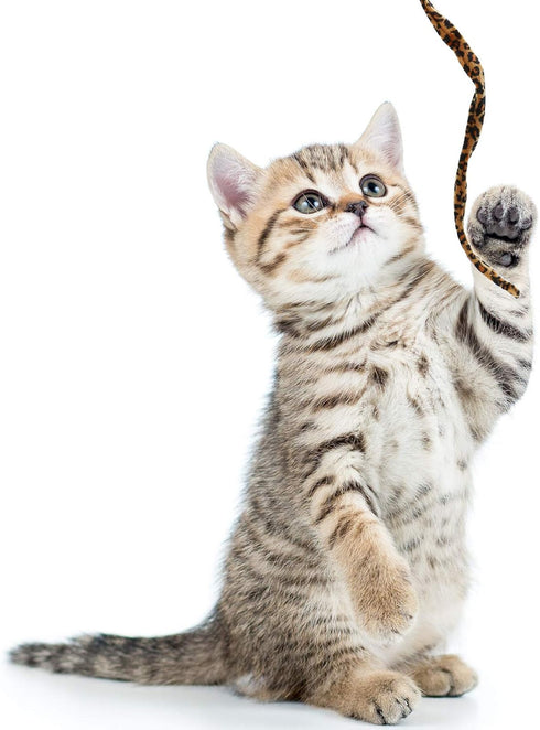 Sumind 3 Pieces Jungle Cat Wand Teaser Charmer Interactive Fun Toys for Kittens, 3 Styles (Classic Color)