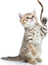 Sumind 3 Pieces Jungle Cat Wand Teaser Charmer Interactive Fun Toys for Kittens, 3 Styles (Classic Color)