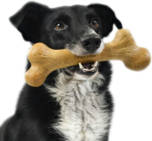 8.5", Pet Qwerks Dinosaur BarkBone - Wood Dog Bone for Moderate Chewers - Peanut Butter Flavor - Small Breeds