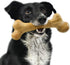 8.5", Pet Qwerks Dinosaur BarkBone - Wood Dog Bone for Moderate Chewers - Peanut Butter Flavor - Small Breeds