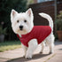 ASENKU Waterproof Windproof Dog Winter Coat, Warm Snowproof Puffer Vest for Small Medium Large Dogs (M, Red)