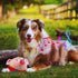 Active Moving Pet Plush Toy - Interactive Talking Moving Dog Ball, Washable Cartoon Pig Plush Sound Toy for Dogs and