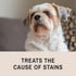 Eye Envy Tear Stain Remover Solution for Dogs, 8 oz, 100% Natural, Safe, Recommended by AKC Breeders