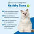 Pet Wellbeing Healthy Gums for Cats - Natural Support for Healthy Gums, Teeth, and Breath - 2oz (59ml)