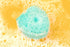 Luxurious Dog Bath Brush Scrubber, Soft Silicone Shampoo Brush Combo for Grooming, Bathing & Massage, Green by Crazy