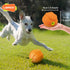 LaRoo Squeaky Dog Ball Toy, Durable Natural Rubber Chew Toy for Small Medium Large Dogs, Floating Training (3.5In