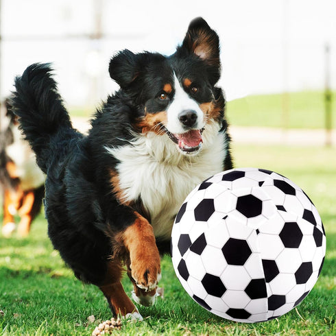 Juome Herding Ball for Dogs, 8" Dog Herding Balls with Soccer Cloth Cover and Hand Pump for Small & Medium Dogs