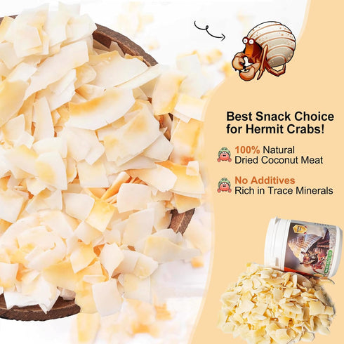 WaggyTech 60g Hermit Crab Food - Baked Coconut Treat, Natural Dried Coconut for Crab Healthy & Additive Free, Easily