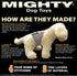 MIGHTY Nature Duck Squeaker Dog Toy, Durable Interactive Play, Machine Washable, Strong & Tough for Tug, Toss & Fetch