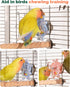Goodlifebird 2 Pcs Bird Toys for Parakeets, Budgie Toys, Spinning Wheel Parrot Toys, Chewing Exercisers, Interactive