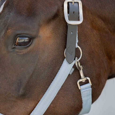 Equinavia Loki Adjustable Breakaway Horse Halter - Sweet Blue - Pony