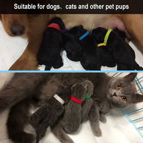 30 Pcs Puppy ID Collar Whelping Newborn Pet Collars, Double-sided Soft Adjustable ID Bands for Dogs & Cats