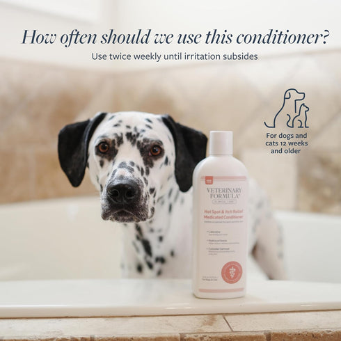 16 oz Veterinary Formula Clinical Care Hot Spot & Itch Relief Cat & Dog Medicated Conditioner, Oatmeal Conditions Skin