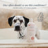 16 oz Veterinary Formula Clinical Care Hot Spot & Itch Relief Cat & Dog Medicated Conditioner, Oatmeal Conditions Skin