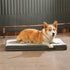 Amazon Basics X-Large Gel Foam Mattress Dog Pet Bed with Removable Cover, Grey, 41"L x 29"W x 4"H