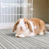 Tierecare (47"x31") Guinea Pig Cage Liner - Washable Bunny Playpen Mat - Soft Reusable Rabbit Bedding - Non-Slip Rug
