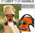BARKBAY No Pull Dog Harness with Front Clip - Heavy Duty Reflective Control Handle for Large Dog Walking (Orange, S)