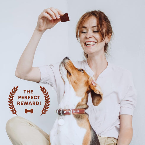 Beef Jerky Square Dog Treats 15 Oz Pack All-American Slow Roasted Beef Training Treats for Dogs - Healthy & Delicious Beef Jerky Dog Treats - A Must-Have Reward Snack for Dogs