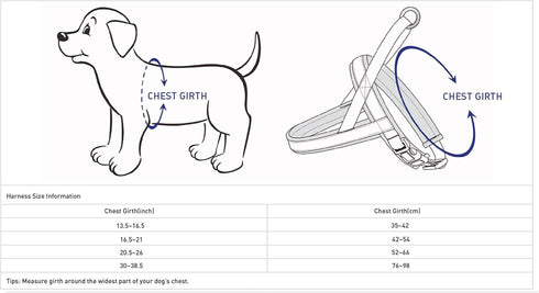 Blueberry Pet 4 Colors Soft & Comfy 3M Reflective Jacquard Padded Dog Harness, Chest Girth 30" - 38.5", Large