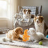 4" 1 Pack Jeffers Pet Baby Duck Plush Squeaker Dog Toy, Orange - Soft Stuffed Duck Toy for Dogs & Puppies, Pastel