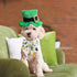 St. Patrick's Day Dog Collar with Bow Tie, Irish Shamrock Clover Collar for Small Medium Large Pets, Medium Size