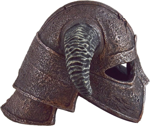 Underwater Treasures Warrior Helmet