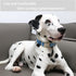 ARING PET Adjustable Cotton Dog Collar, Lightweight Comfortable Blue Collars with Quick Release for All Sizes