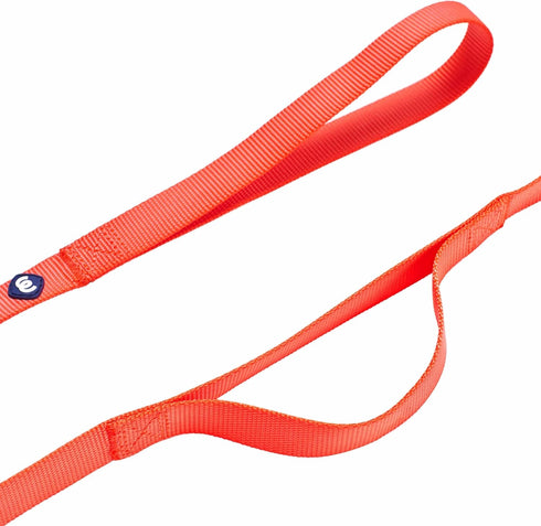 Blueberry Pet Essentials Matching Dog Collar and Double Handle Leash Set in Florence Orange for Large Dogs