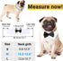 Segarty Black Bow Tie Dog Collar, Adjustable White Tux Bowtie for Small Pets, Formal Necktie for Cats Puppies