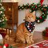 Ittokis 4 Pack Set Dog Bandana Christmas Scarf Bibs Kerchief Pet Christmas Costume Xmas Holiday Bandanas for Medium
