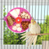 Bird Creative Foraging System Wheel, Seed Food Ball Rotate Training Toy for Small and Medium Parrots, Purple
