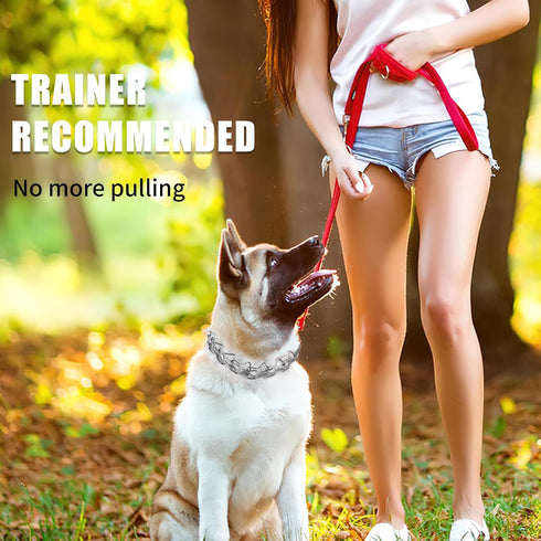 Stainless Steel Curved Prongs Dog Training Collar, Adjustable Pet Pinch Collar with Swivel Ring 26in x 4.0mm (Neck Size