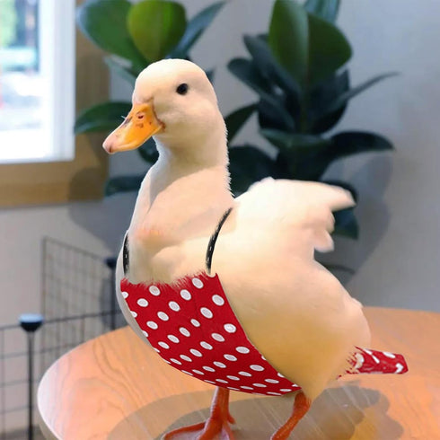 QBLEEV Pet Cole Duck Diapers for Baby Ducks, Chicken Diapers for Real Hens, Fashionable Duckling Nappy Poultry Cloth