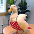 QBLEEV Pet Cole Duck Diapers for Baby Ducks, Chicken Diapers for Real Hens, Fashionable Duckling Nappy Poultry Cloth