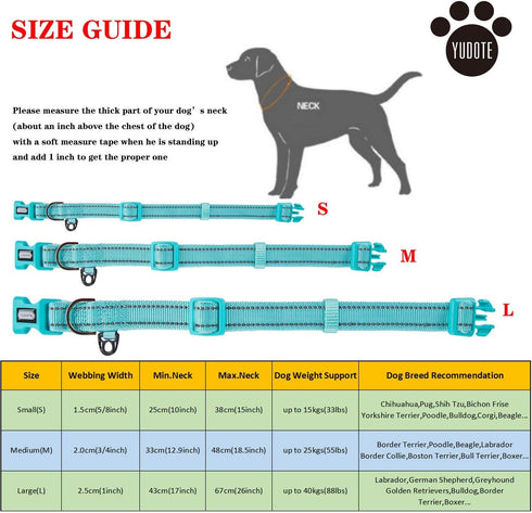 Reflective Nylon Dog Collar - Adjustable Neoprene Padding for Small Dogs (9.8"-15", Teal)