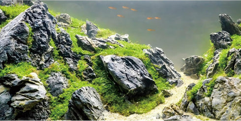 AWERT 48x24 inches Stone Fish Tank Background, Aquatic Plant River Bed & Lake Vinyl Background