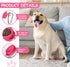 Collapsible Dog Water Bowl, 2 in 1 Foldable Pet Food and Water Bowl, Portable with Carabiner Clip for Traveling