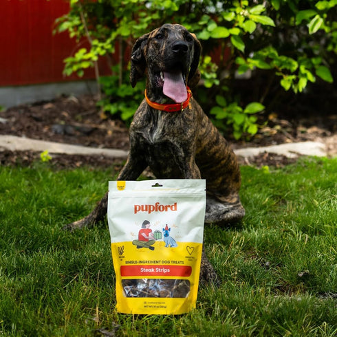 (10 oz) Pupford Steak Strips for Dogs & Puppies - Healthy, Natural, Single Ingredient Freeze Dried Beef Lung Dog Treats