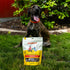 (10 oz) Pupford Steak Strips for Dogs & Puppies - Healthy, Natural, Single Ingredient Freeze Dried Beef Lung Dog Treats