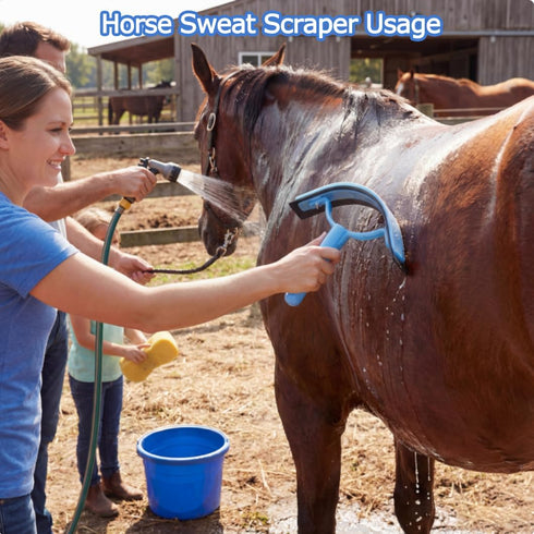 13-Piece Set Set Horse Grooming Kit, Horse Brush with Organizer Bag Complete Care, Mane Braiding Kit, Brushes & Curry