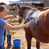 13-Piece Set Set Horse Grooming Kit, Horse Brush with Organizer Bag Complete Care, Mane Braiding Kit, Brushes & Curry