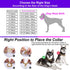 txprodogchains 18K Gold Chain Dog Collar, 10MM Cuban Link Stainless Steel for Small Medium Large Dogs