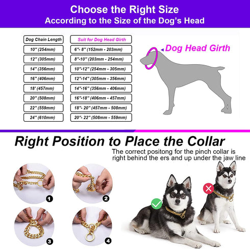 18K Gold Chain Dog Collar 10MM Cuban Link Chain Stainless Steel Metal Links Walking Training Collar for Small Medium Large Dogs 10in to 30in