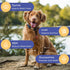 Dog Electrolytes and Joint Supplement, Glucosamine, Chondroitin & MSM for Inflammation and Mobility Support