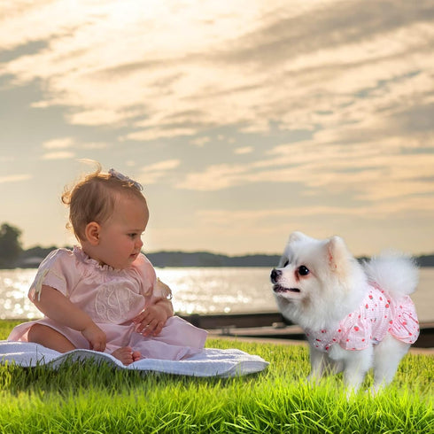 TONY HOBY Dog Summer Dress with Strawberry for Small Medium Dogs - Soft and Breathable (Pink, XS)